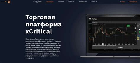 как работает брокер forex